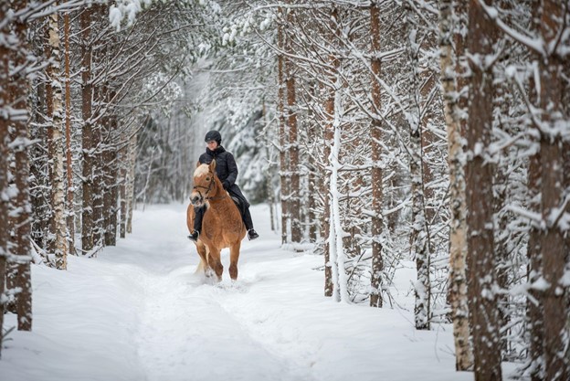 Woman horseback riding in winter