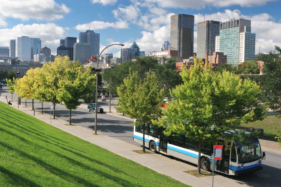 Urban Public Transport Bus in Montreal