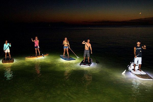 Stand up Paddle boarding in Vancouver at night