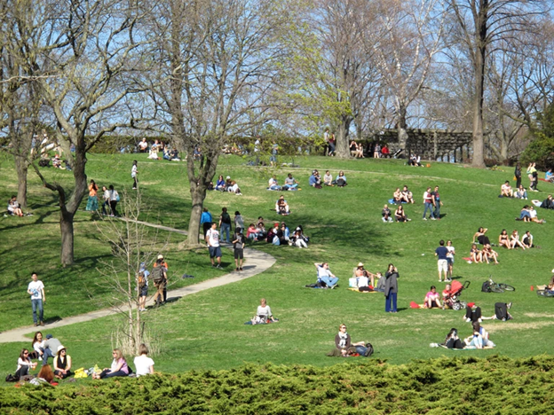 Toronto's High park view with visitors on a sunny day