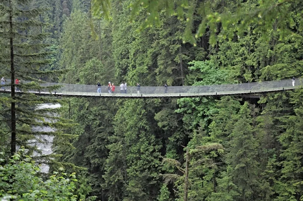 Capilano Suspension Bridge