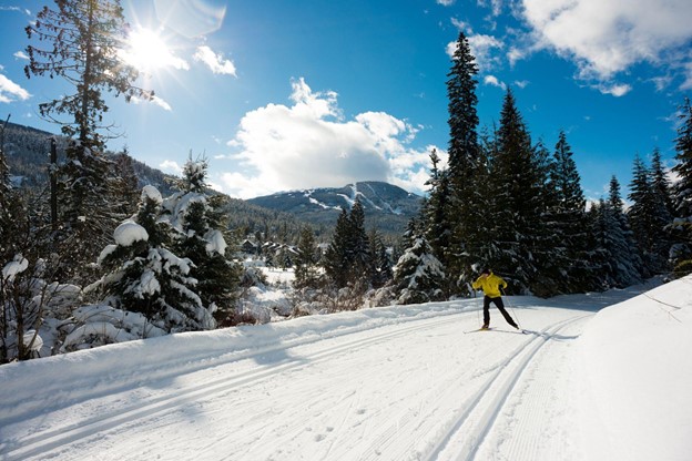 A person cross country skiing in the winter with pine trees and mountain tops in the background