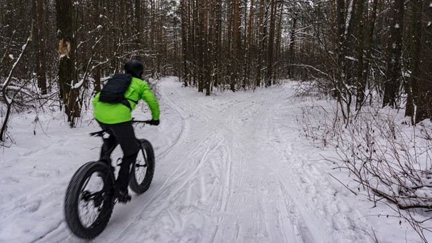 A person riding a fat tire bike - cycling on large wheels in the winter forest