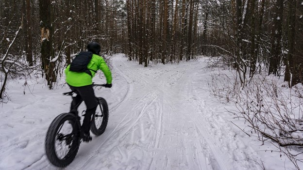 A person riding a fat tire bike – cycling on large wheels in the winter forest.