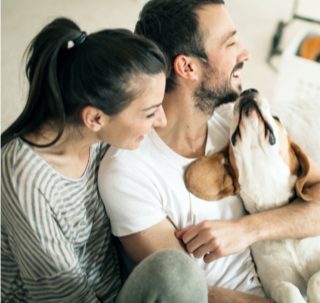 Couple and their dog sitting on a couch in short term rental apartment