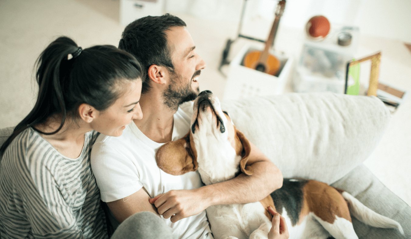 Couple and their dog sitting on a couch in short term rental apartment