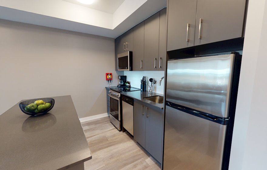 911 - Kitchen Fully Equipped Five Appliances Stainless Steel Ottawa