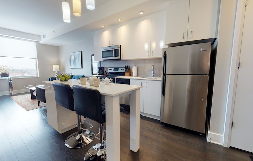 515 Kitchen Fully Equipped Appliances Stainless Steel Ottawa