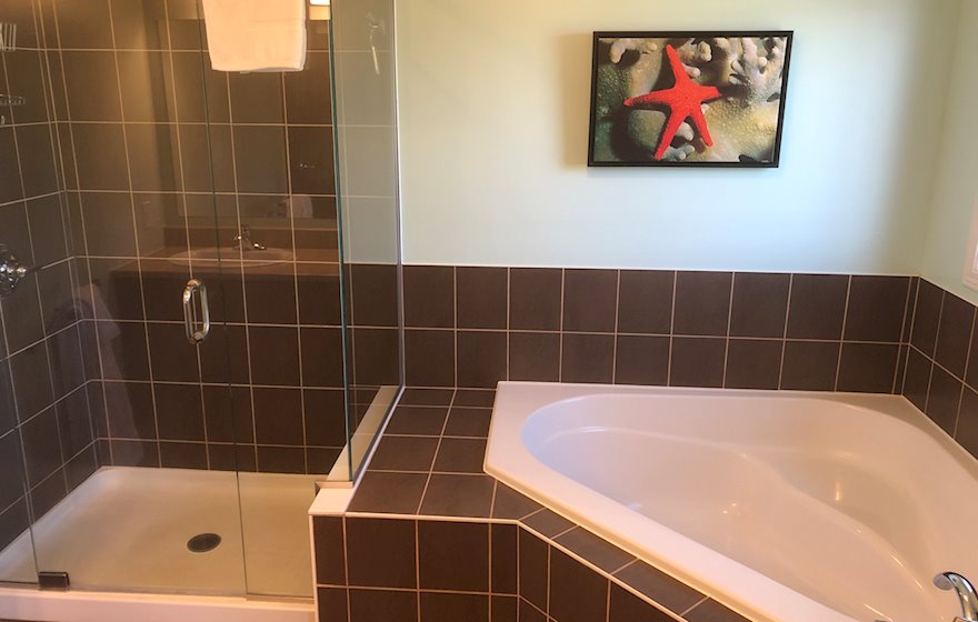 Principal Bathroom Walk In Shower Fully Furnished Apartment Suite Orleans