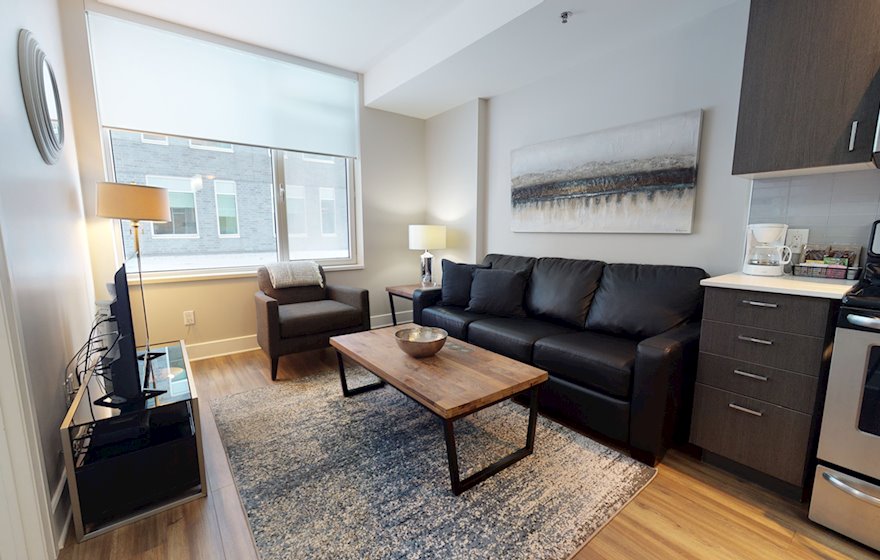218 Living Room Free WiFi Fully Furnished Apartment Suite Ottawa